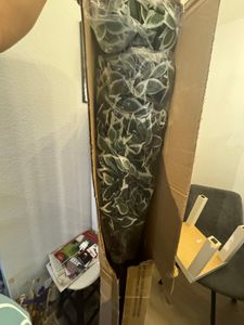 PLANTASIA Kunstpflanze Bambus Strauch 190 cm Kunden-Foto 1