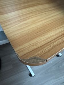 Verstellbarer, tragbarer Arbeitstisch aus Holz mit Rollen, höhenverstellbar bis 90 cm, vielseitig einsetzbar - EVOSTUL Kunden-Foto 18
