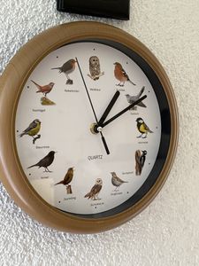 Wanduhr mit Vogelstimmen Ø 25 cm Kunden-Foto 1