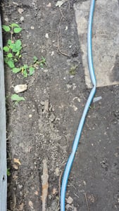 Gartenschlauch 4 lagig 3/4" Zoll 50m  Schlauch Wasserschlauch Kunden-Foto 3