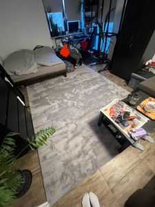 Teppich Wohnzimmer Kurzflor Waschbar Einfarbiges Muster Weich Rutschfest Modern Grösse 300x400 cm Kunden-Foto 2