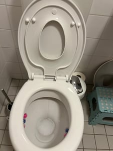 WOLTU Kinder Familien WC Deckel mit integriertem Kindersitz, abnehmbar, Weiß Kunden-Foto 1
