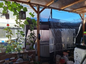 FCH Faltpavillon 2 x 2m Pavillon mit 4 Seitenwänden, Fenster, Festzelt mit UV-Schutz, mit 4 Seitenteilen, Gartenzelt, Festzelt Kunden-Foto 2