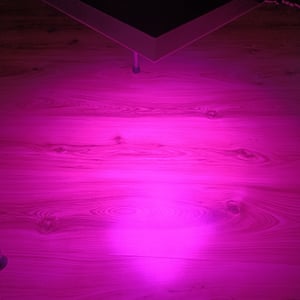 VINGO LED Pflanzenlampe Garten- & Gewächshaus-Zubehör 45W Pflanzenleuchte 225 LEDs fuer Gewaechshaus, Red Blue Voll Spektrum Pflanzenlicht fuer Saemling, Garten, Blumen, Innengarten Grow Lampe Kunden-Foto 3