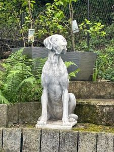 Schöne Dogge aus Steinguss Neu Frostfest Gartendeko Deko JA-071 Kunden-Foto 1