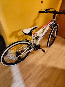 Bergsteiger Kodiak 29 Zoll Mountainbike, geeignet ab 170 cm, Scheibenbremse, Shimano 21 Gang-Schaltung, Vollfederung, Jungen-Fahrrad & Herren-Fahrrad Kunden-Foto 19