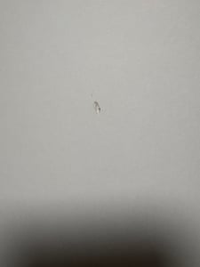 Free Waschmaschinenschrank 5 Türen, 2 Klappentüren, 2 Schubladen, 5 Regale Weiß. Kunden-Foto 1