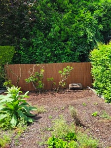 Ogrodzenia Wiklinowe Wytrzymała Mata Wiklinowa 60x300 cm Osłona Wierzbowa Maskująca z Wikliny Naturalny Płot Zapewniający Prywatność Zdjęcie produktu od klienta nr 1