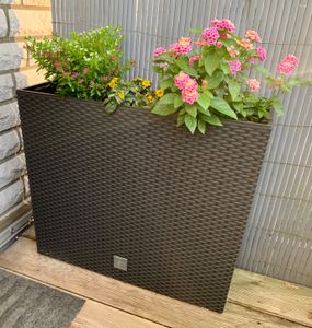 Länglicher, hoher Blumentopf RATO Case DRC600T | Anthrazit Kunden-Foto 4
