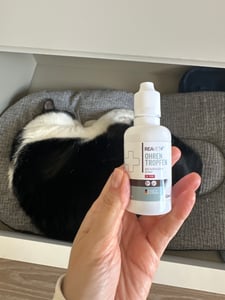 REAVET Ohrentropfen mit kolloidalem Silber 50ml I für Hunde & Katzen I Bei Ohrentzündungen, Juckreiz und Irritationen, Ohrenpflege, Ohrenhygiene, Gesunde Ohren Kunden-Foto 1