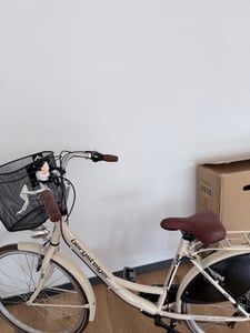 Bergsteiger Paris 28 Zoll Damenfahrrad, ab 160 cm, Korb, Fahrrad-Licht, Shimano 6 Gang-Schaltung, Damen-Citybike, Damenrad im Retro-Design Kunden-Foto 2