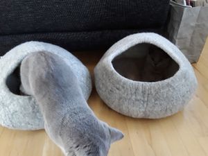 Premium Filz-Katzenhöhle Aus 100% Wolle – Handgefertigt, Kuschelig & Warm – Katzenbett Mit Isolierung