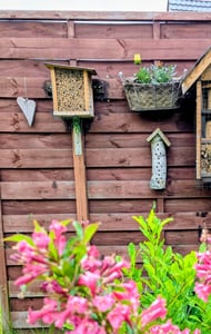 BEESI Bambusröhrchen für Insektenhotel I 14 cm Länge I Bambus für Bienenhotel Kunden-Foto 1
