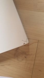 Homestyle4u Hochbett 90x200 Kinder mit Schreibtisch Kinderbett Weiß, Holz Kiefer Kunden-Foto 1