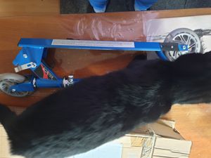 COSTWAY Kinder Roller mit LED Rädern, Cityroller höhenverstellbar, Kinder Scooter für Kinder ab 4+, Kinder Kickscooter, Tretroller für Junge & Mädchen Kunden-Foto 2