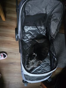 PawHut, vozík pro psy, přepravní vozík pro střední psy a kočky do 25 kg, skládací Fotografie od zákazníka č. 4