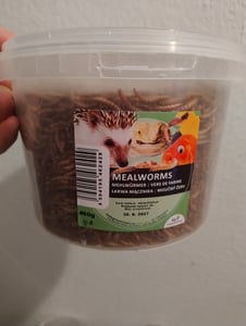 UGF Premium Mehlwürmer getrocknet 2 x 1 Kg, Vogelfutter, Insekten Snacks für Hamster, Igel, Nager, Eidechsen, Schildkröten, ohne Zusatzstoffe Kunden-Foto 1