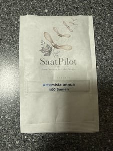 SaatPilot Artemisia annua 500 Samen Einjähriger Beifuß Kunden-Foto 1