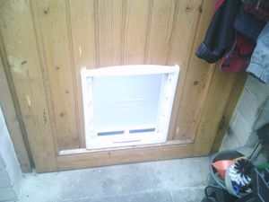 2-Wege-Staywell® Haustiertür Original, Groß Kunden-Foto 1