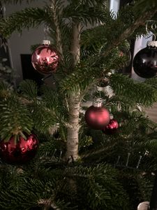  schöne Kugeln , matt und glänzend