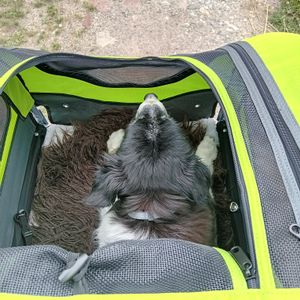 DOGGYHUT Large remorque de vélo & buggy pour chiens 2 en 1 pour chiens jusqu'à 35kg remorque pour chien jogger poussette pour chien avec frein de stationnement Photo du client 3