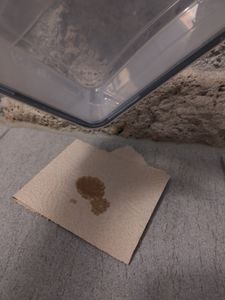 Frischhaltedose 24 Stück Dosen Set mit Deckel Vorratsdosen Aufbewahrungbox Extrem Auslaufsicher BPA-frei Gefrierdosen - Meal Prep Boxen Kunden-Foto 2