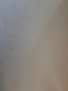 KESPER Kinder-Sitzbank Alpaka-Motiv – grau – - - Kinderbank – 60x34,5x56cm – Sitzbank mit Klappdeckel & großem Staufach –  1770113 Kunden-Foto 3