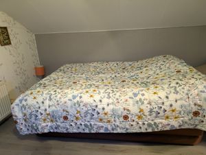 Bestway® AlwayzAire® Fortech® Doppelluftbett mit integrierter Comfort Choice+™ Doppelpumpe 203 x 152 x 51 cm Kunden-Foto 5