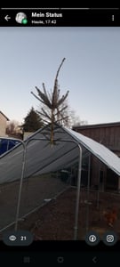 Kurník 3x2x2m Kurník pre malé zvieratá Výbeh pre malé zvieratá Voliéra Výbeh pre voľne žijúce zvieratá Klietka pre hydinu Pozinkovaný Fotografia od zákazníka č. 17