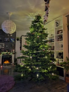 Weihnachtsbaum „Spessarttanne Classic“ PVC 19001 Kunden-Foto 3