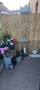 Schermo protettivo in bambù 200x180 cm (AxL)  DELUXE Stuoia in bambù | Recinzione da giardino Schermo protettivo per balcone | Rivestimento per recinzione in bambù naturale | Ø 20–30 mm Foto del cliente 1