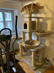 tectake® Kratzbaum Gismo 195 cm inklusive Treppe, 4 Spielbällen und Kippschutz Kunden-Foto 10