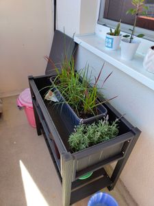 COSTWAY Hochbeet mit Ablage und Drainagelöchern, Blumenbeet Pflanzkasten Holz 86x45x73cm Schwarz Kunden-Foto 1