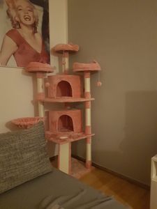 Yaheetech Kratzbaum 175 cm stabiler Katzenbaum mit Sisalstämen & Höhlen, Dunkelgrau Kunden-Foto 2