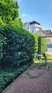 Arbeitsregelbare Plattform 116/35Cm Kunden-Foto 1