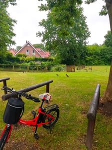20" E-Bike 155–195 cm 36 V 20 Ah 110–130 km IPX5 7-Gang – StVZO-konform mit legaler Schiebehilfe (6 km/h) – Grün Kunden-Foto 1