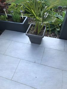 Frostgewöhnte Trachycarpus princeps "Marmor Hanfpalme" 140-160 cm Gesamthöhe -18 Grad Kunden-Foto 4