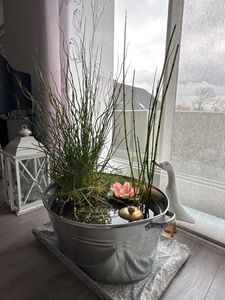 Vielseitige Zinkwanne Oval 40 Liter – Wasserdicht, für Miniteich, Pflanzen & Kühlung Kunden-Foto 1