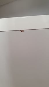 paplinskimoebel Stehender Waschtischunterschrank mit Waschbecken, Loft Oak matt, 60 x 40 cm, Ablage, Soft Close Kunden-Foto 4