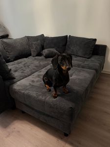 Sehr schöne Couch! 