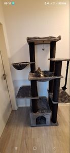 Purpurra Kratzbaum Extra-Dick Stämme XXL Stabil für Grosse Katzen, 114/170 cm Kunden-Foto 1
