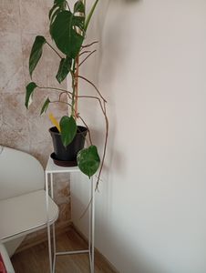 HowHomely Modern Pflanzenständer, Blumenhocker aus Metall Weiß 70 cm Höhe - Blumenständer für das Haus Kunden-Foto 4