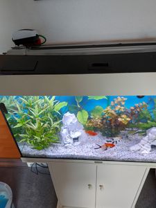 90-110cm LED Aquarium Beleuchtung Fisch Tank Lampe Vollspektrum Pflanzenlicht für Aquarienpflanzen Wachstum Kunden-Foto 1