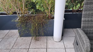Jardinière Surélevée Modulaire Palatino Exclusive Line – Acier Anthracite 120x40x50 Cm, Empilable, Kit à Monter