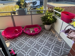 Sand- & Wassermuschel 2-tlg. pink Sterne – Spielmuschel für Kinder 1–6 J. Kunden-Foto 1