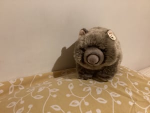 Vombat WWF 28cm Fotografie od zákazníka č. 1