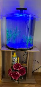 vidaXL Aquariumständer Sonoma-Eiche 60x30x60 cm Holzwerkstoff Kunden-Foto 1