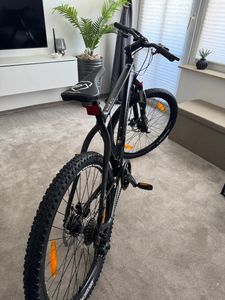 Bergsteiger Makalu 29 Zoll Mountainbike Aluminium, geeignet ab 160 cm, Scheibenbremse, Shimano 21 Gang-Schaltung, Hardtail, Jungen-Fahrrad & Herren-Fahrrad Kunden-Foto 11