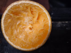 Elektrischer Entsafter, USB Zitruspresse,  Saftpresser, Obst Und Gemüse Entsafter, 400 ml - VITAPRESS Kunden-Foto 9