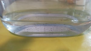 Waterdrop Wasserfilter, Ersatz für Brita® Maxtra+® Plus, Maxtra Pro® All-in-1 , Kompatibel mit Brita® Marella® (12) Kunden-Foto 13
